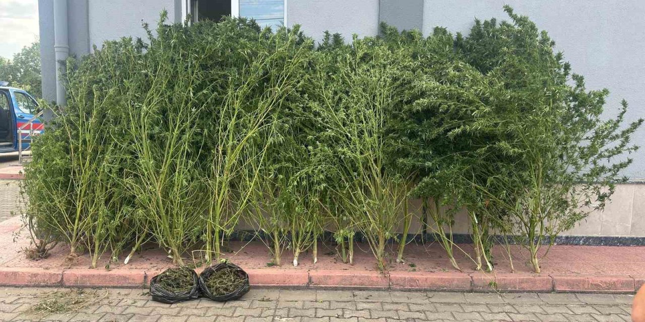 Bursa’da uyuşturucu operasyonu