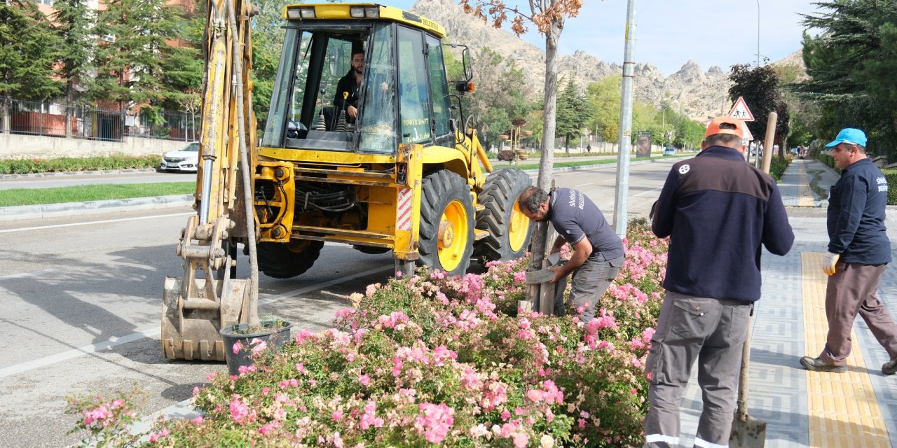 Sivrihisar’da park bahçe mesaisi