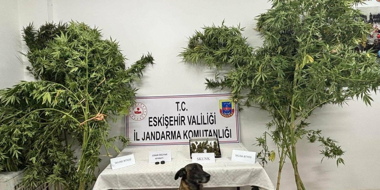 Eskişehir'de uyuşturucu madde eken şahıs yakalandı!