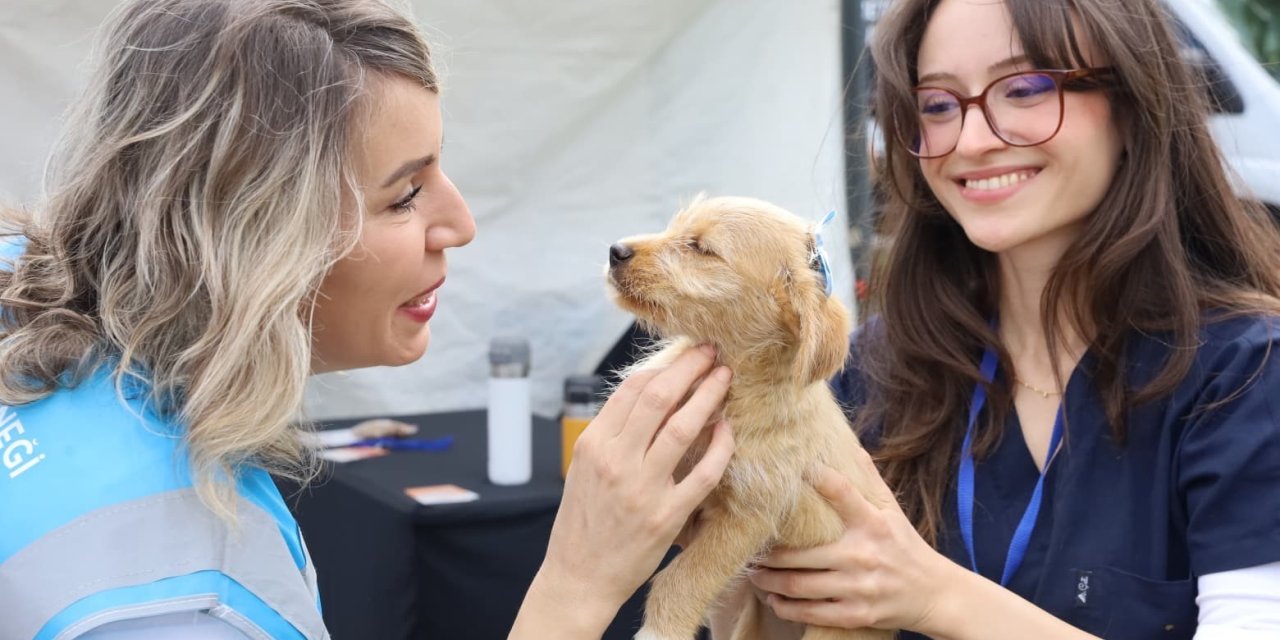 Can dostlar yeni yuvalarına kavuştu