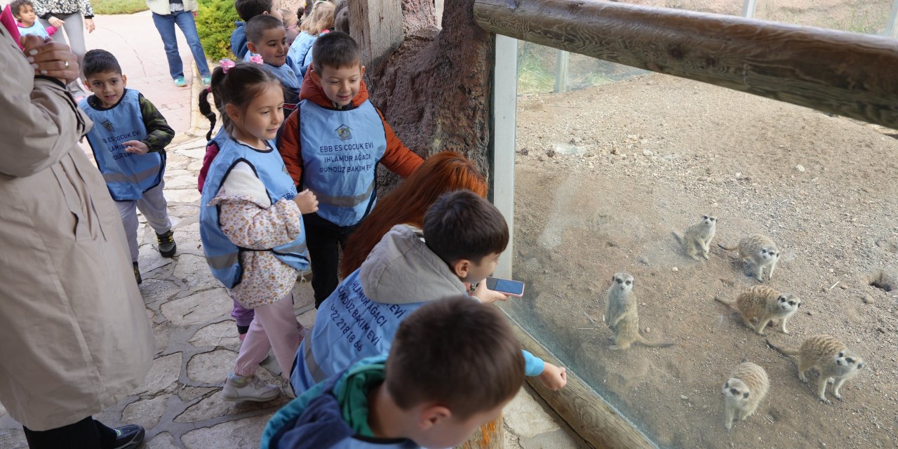 Minikler hayvanat bahçesinde buluştu