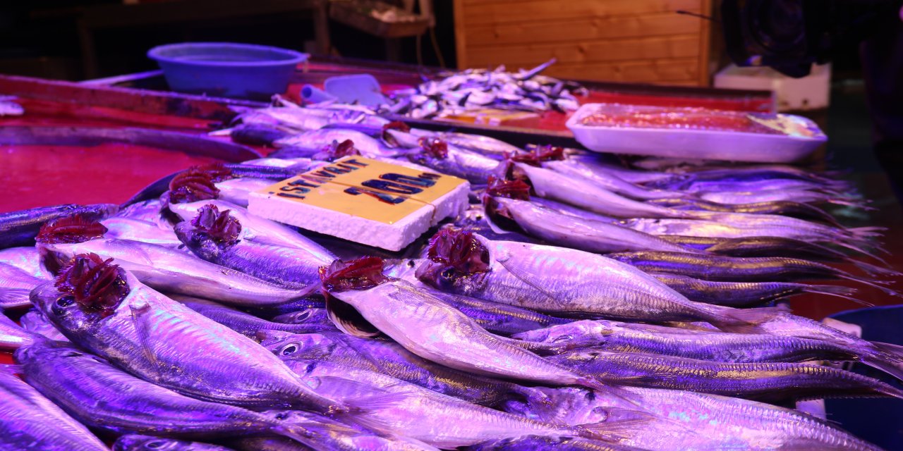 Balık tezgahında çupra ile dayak