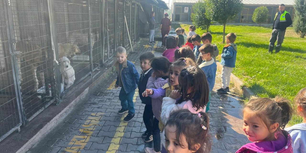 Eskişehir'de minikler sahipsiz sokak hayvanlarını ziyaret etti
