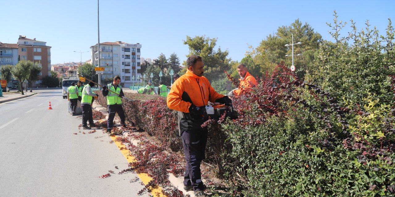 Büyükşehir ağaç ve çalı budama işlemlerine başladı