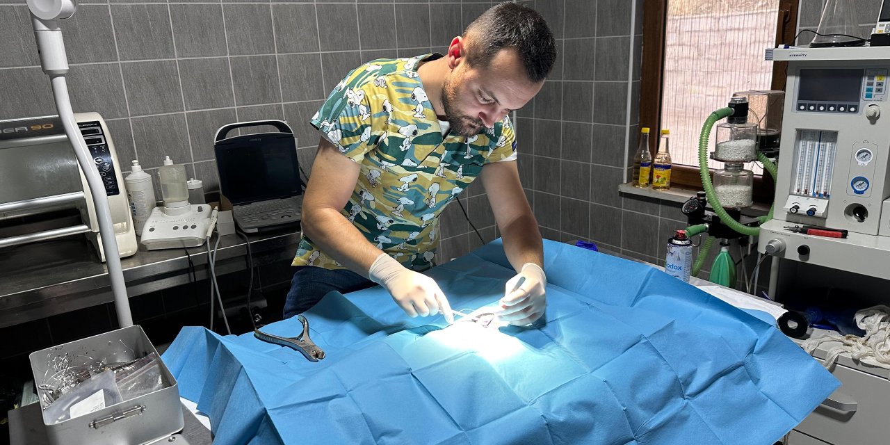 Olta misinesine dolanan kedi kurtarıldı