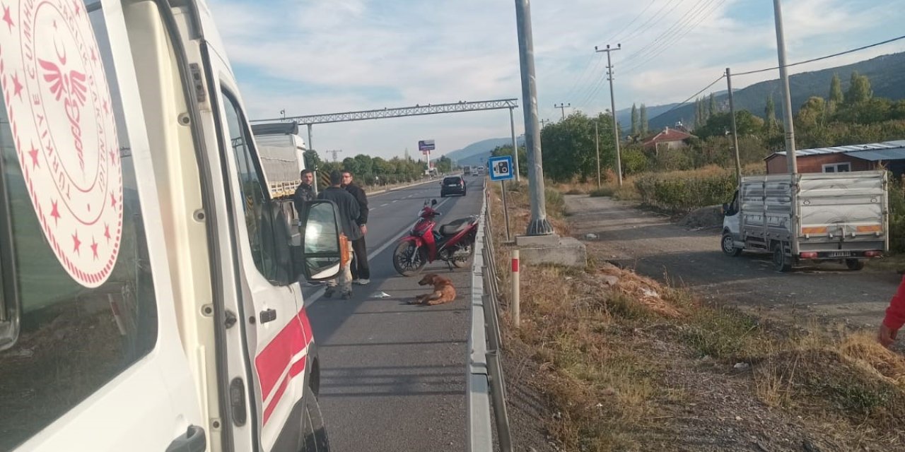 Köpeğe çarpmamak için kaza yaptı