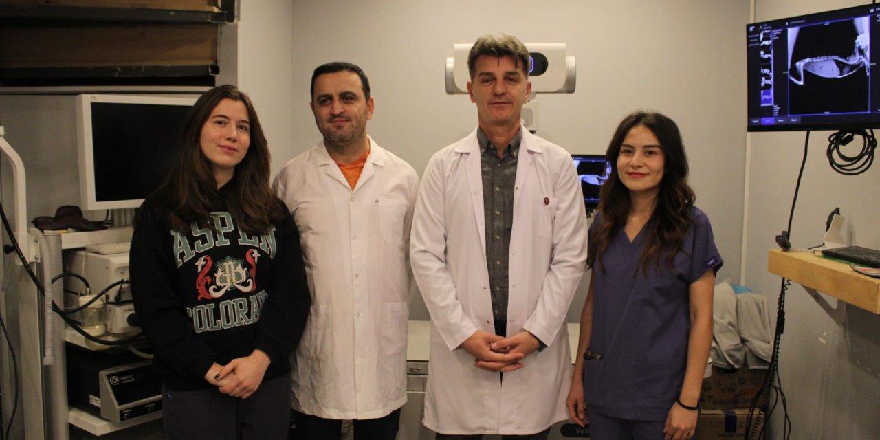 Evcil hayvan sahipleri için önemli uyarı