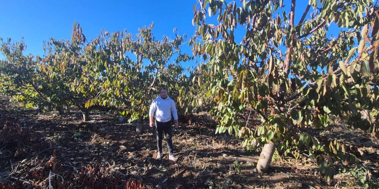 Eskişehir'de zirai dondan etkilenen 606 çiftçiye destek