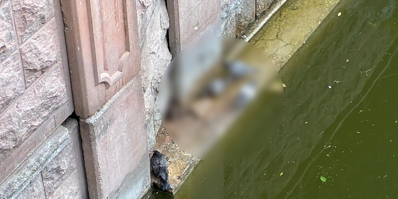 Porsuk Çayı'nın kenarında ilginç anlar!