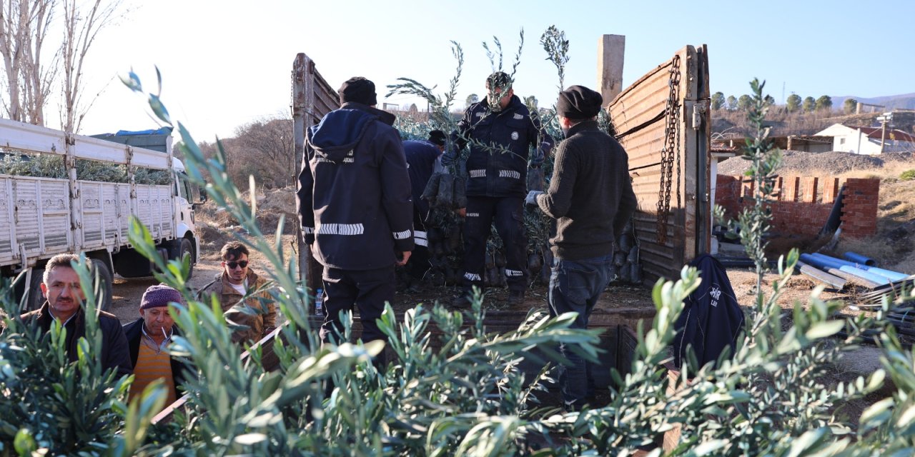 Büyükşehir'den çiftçiye fidan desteği!
