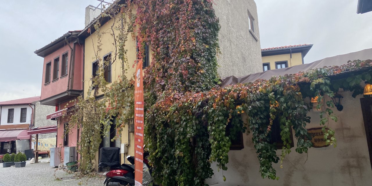 Tarihi Odunpazarı Evleri'nden kartpostallık manzara