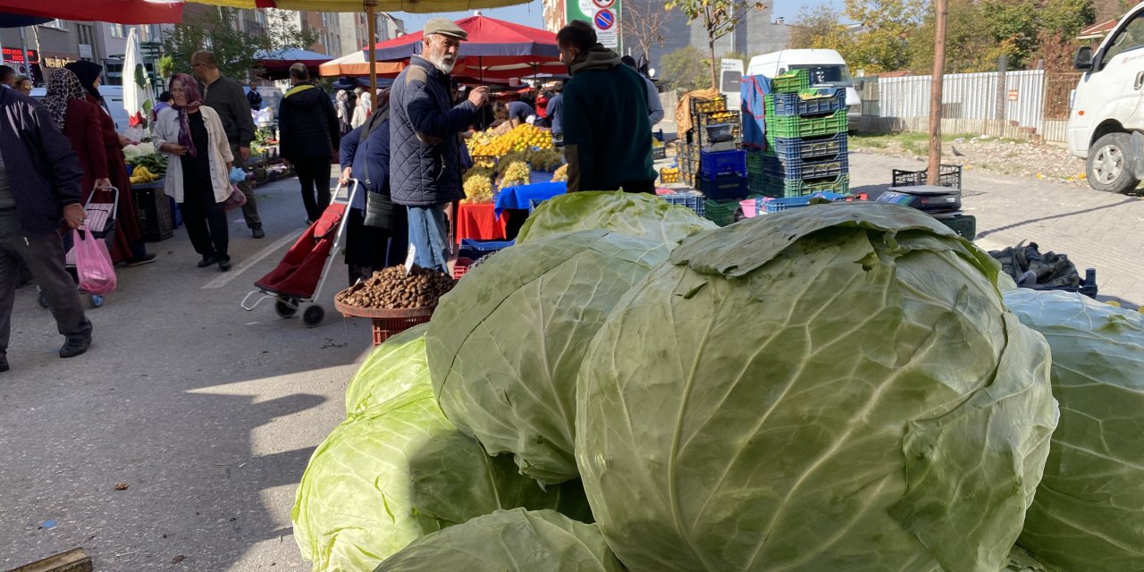 Yaklaşık 11 kiloluk lahanalar 180 liraya satılıyor