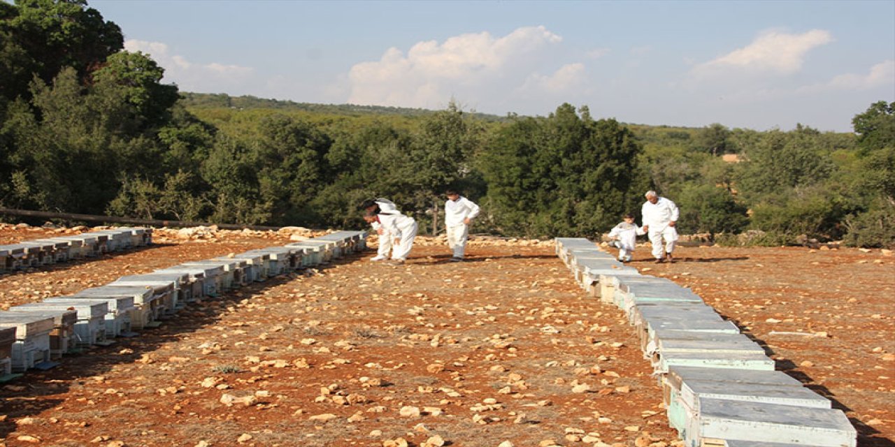 Besthoney Projesi İtalya’ da konuşuldu