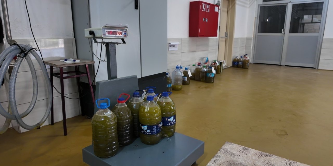 "İç Anadolu'da yetişen zeytinlerin soğuk sıkımını yapıyoruz"