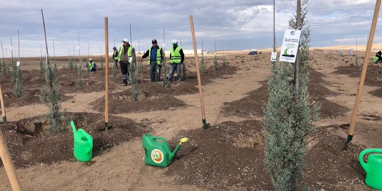 Eskişehir’de 20 bin fidan dikildi