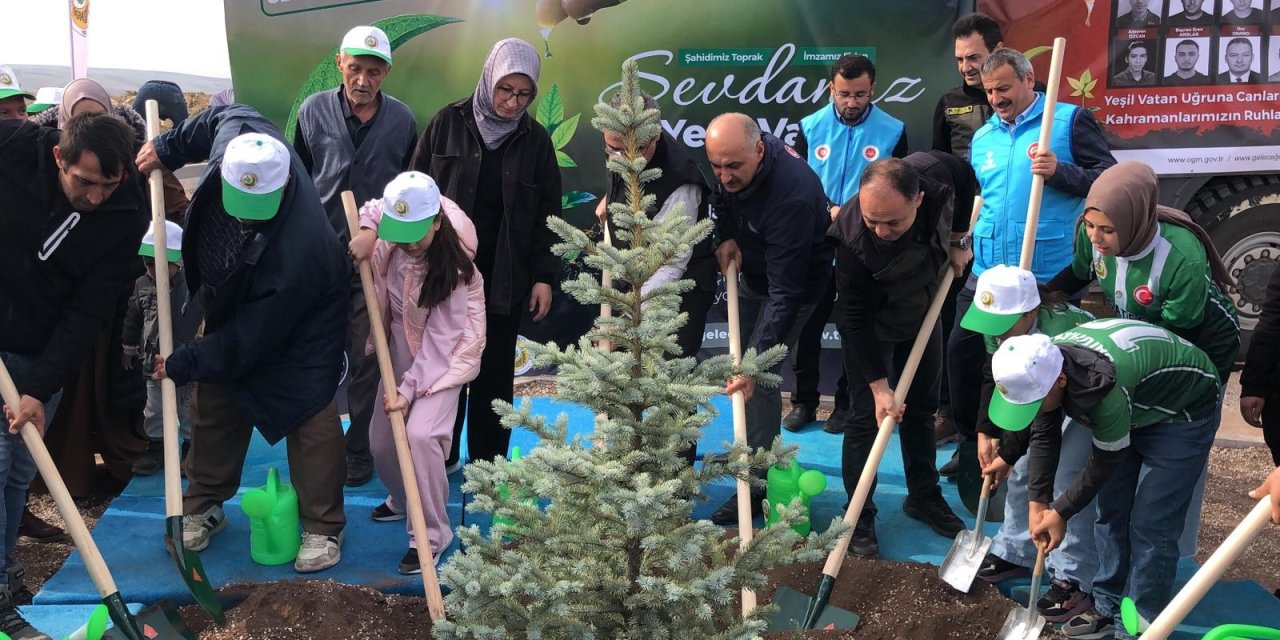 Şehit Eyüp Dereli'nin hatırası yaşatılacak