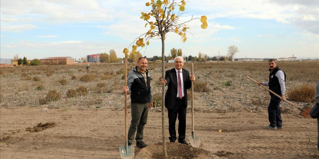Eskişehir'de ıhlamur fidanları toprakla buluştu
