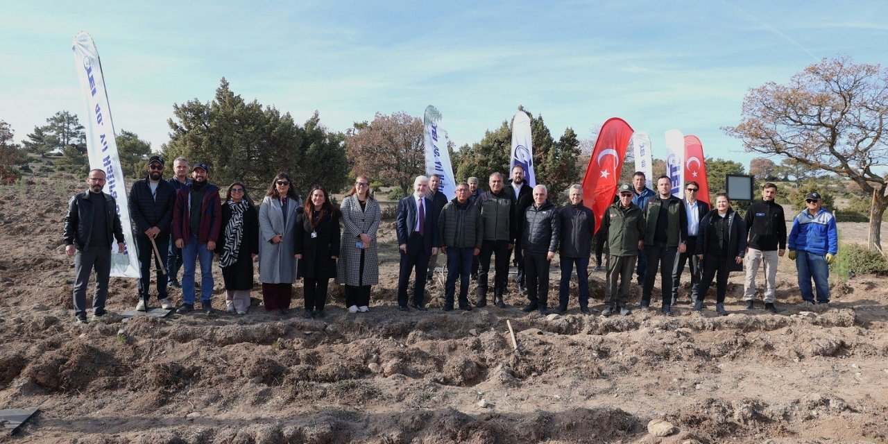 TEI 40. Yıl Hatıra Ormanı oluşturdu