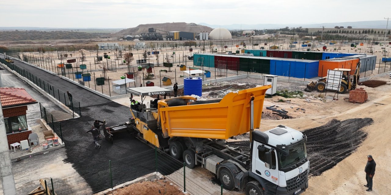 Eskişehir'de "Hayvan Bakımevi" projesinin çalışmaları sürüyor