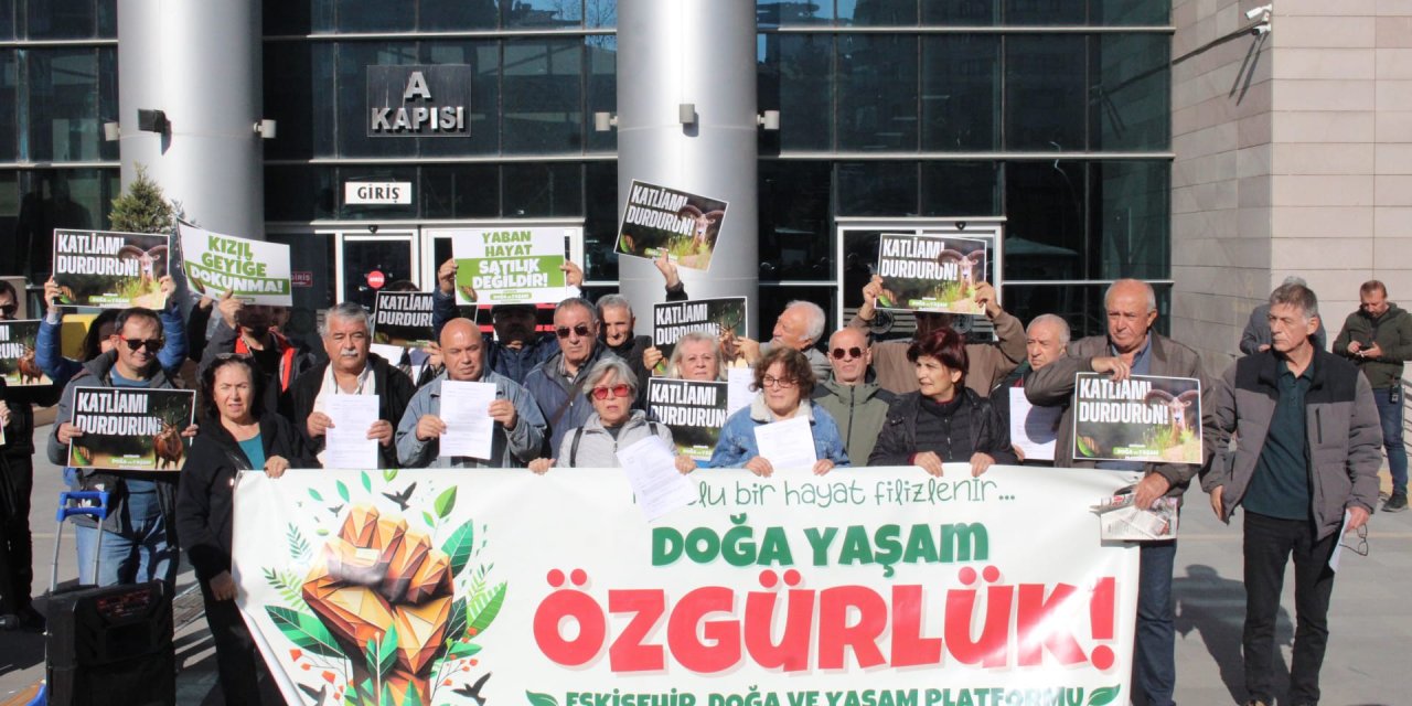 Doğa ve Yaşam Platformu öldürülen hayvanlar için hesap sordu