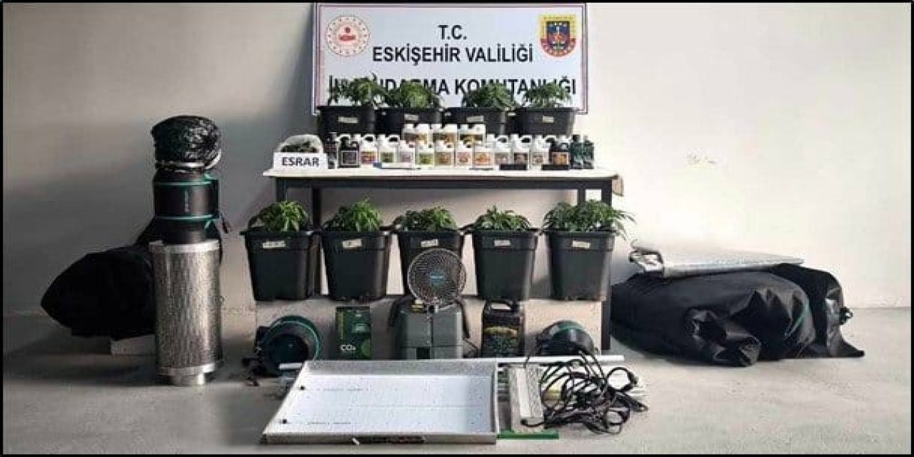 Eskişehir'de kenevir yetiştiren şahıslar yakalandı