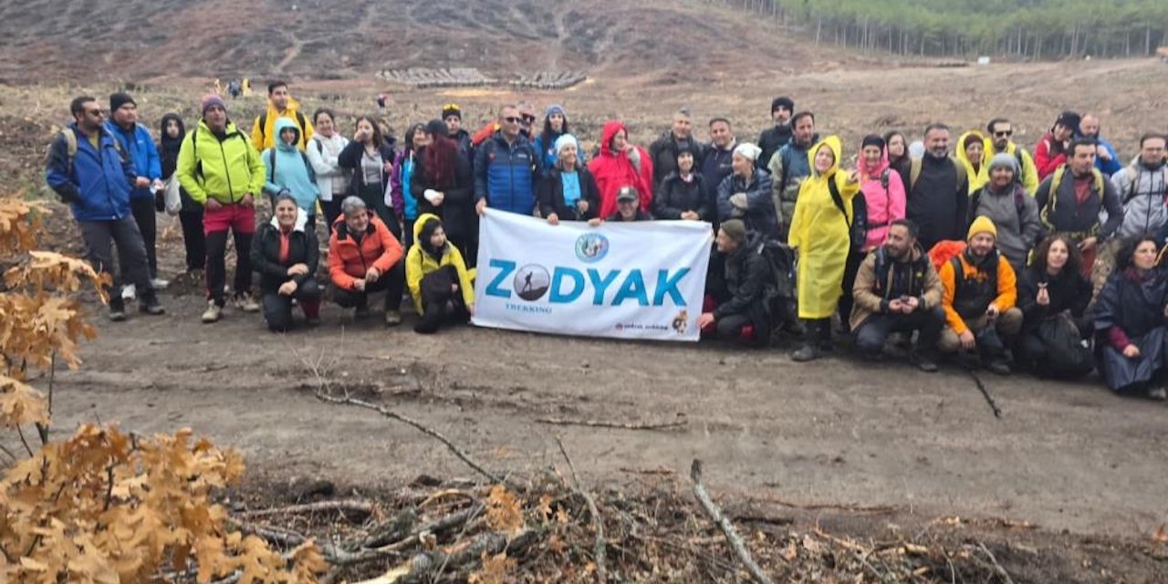 Orman yangınlarından etkilenen bölgede 450 fidan dikildi