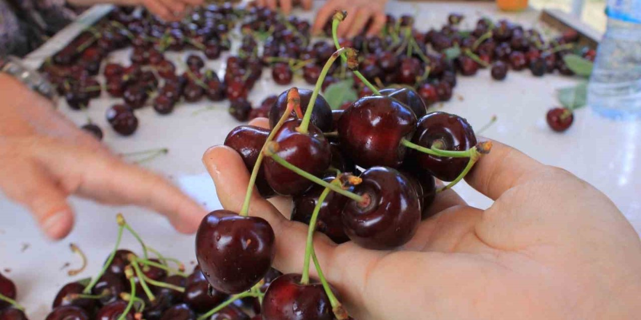 15 Aralık’ta okullarda "Coğrafi İşaret Günü" kutlanacak