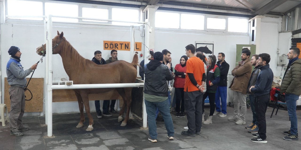 'Kısraklarda Suni Tohumlama Eğitimi' tamamlandı