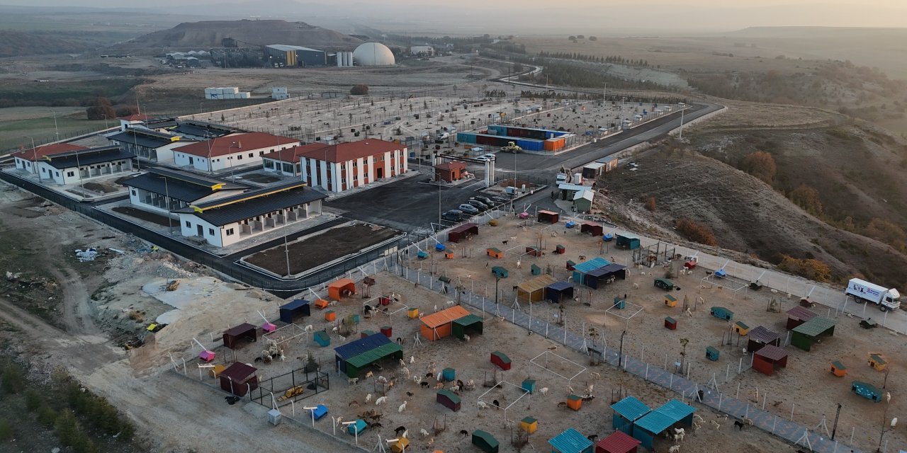 Eskişehir'de hayvan bakımevi çalışmaları devam ediyor