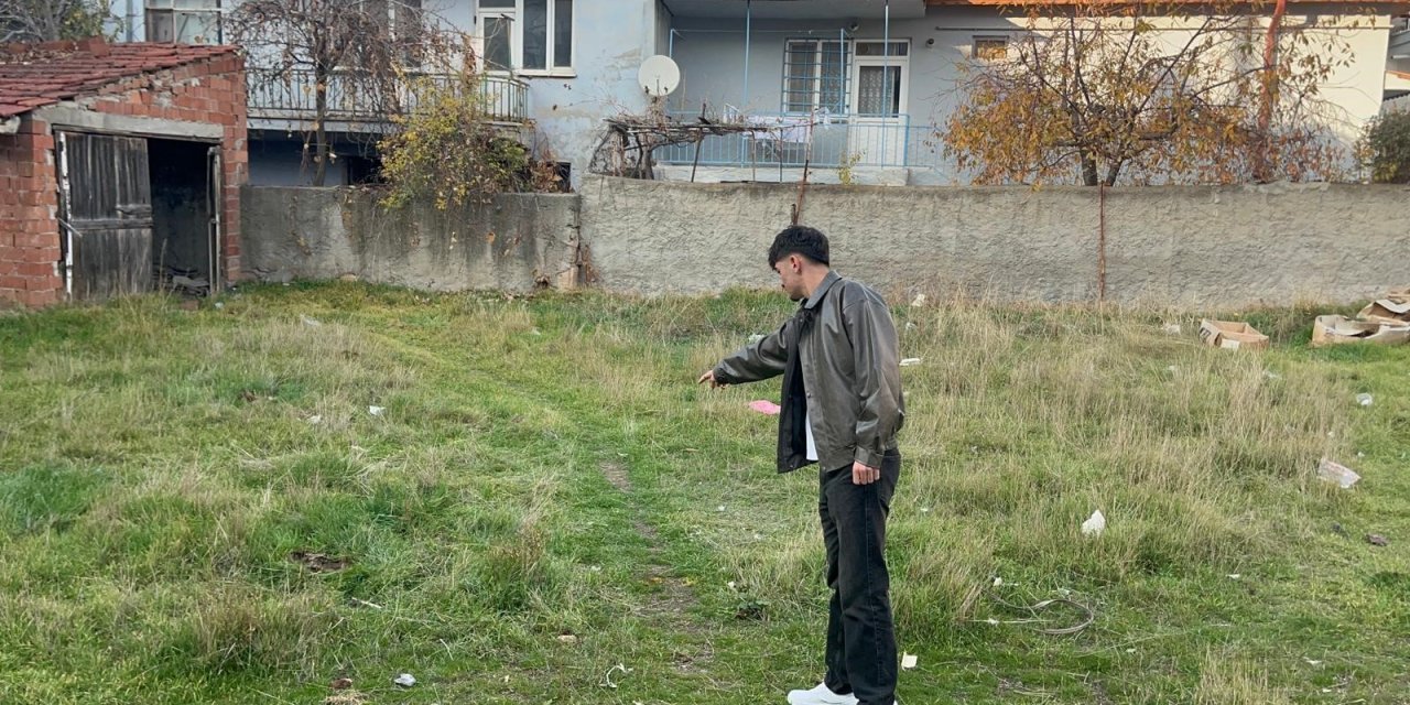 Eskişehir'de hayvan katliamı: 8 kedi ölü bulundu!