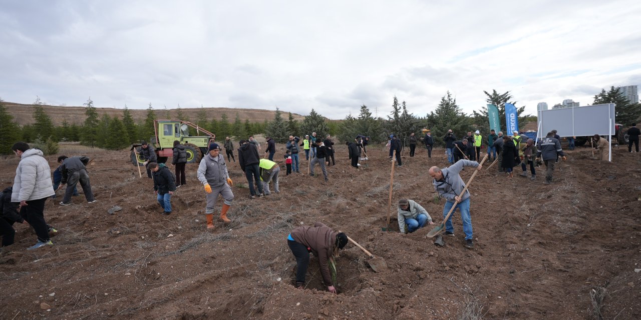 'Muharrem Can Hatıra Ormanı' oluşturuldu