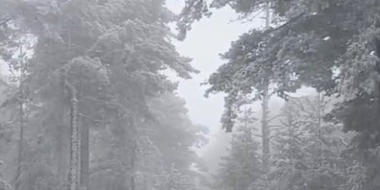 Eskişehir'e ilk kar düştü!