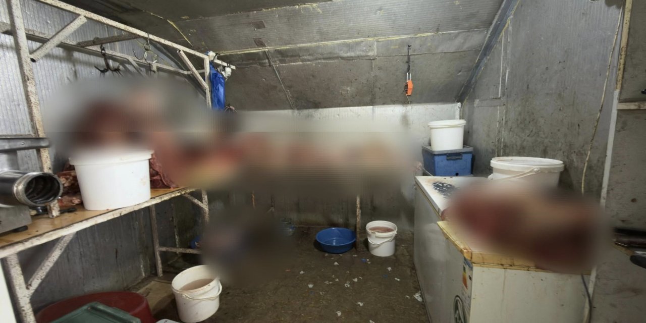 Eskişehir'de at eti skandalı!