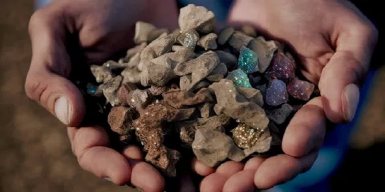 “Yerli yabancı şirketlerin elleri cebimize uzanıyor”