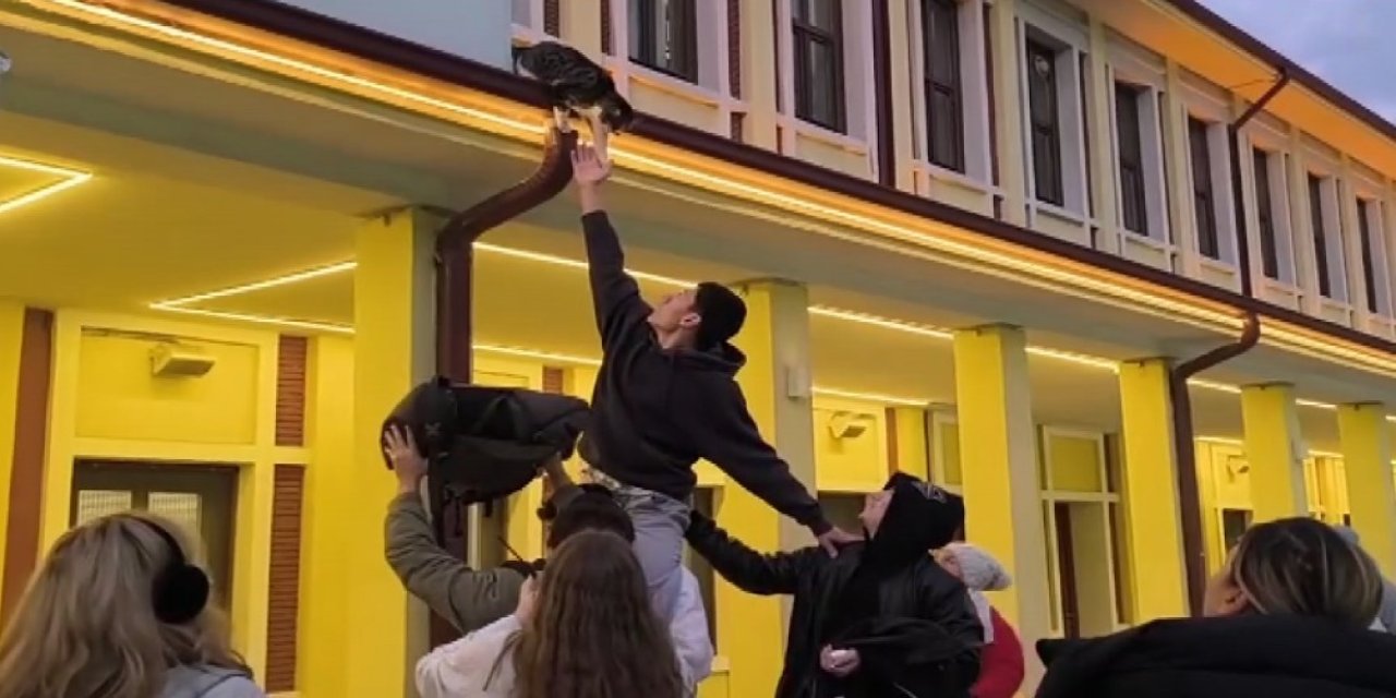 Eskişehir'de kediyi kurtarmaya çalışan gençler kameraya yansıdı