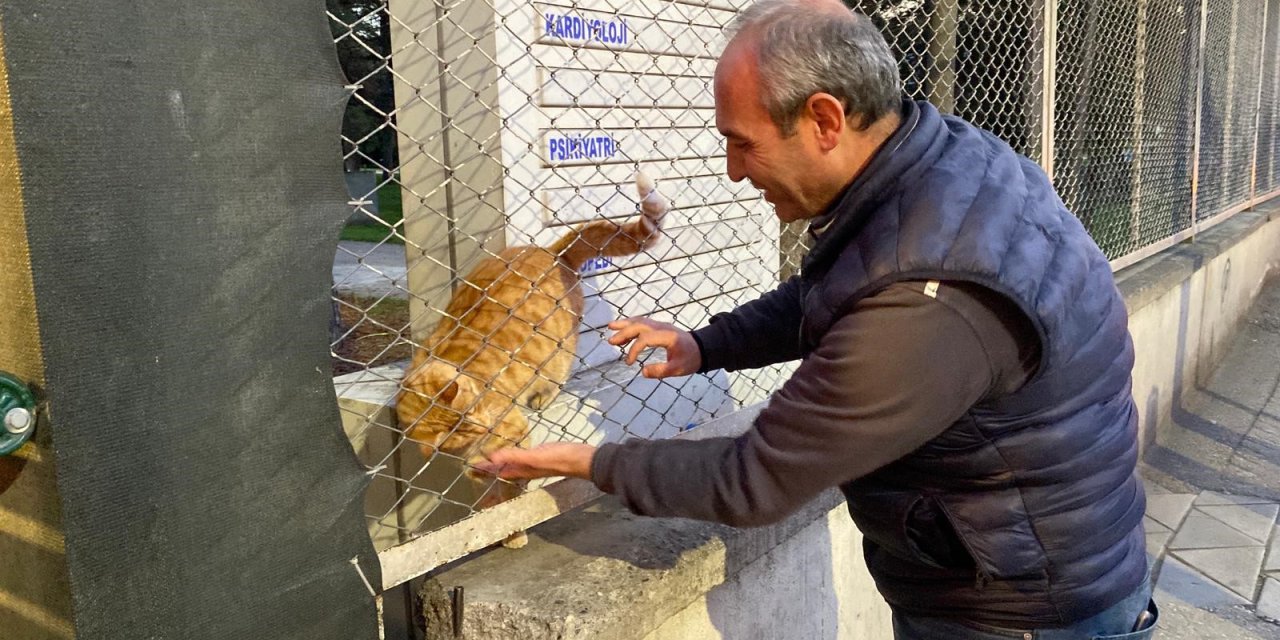 Taksici esnafı durak çevresindeki sokak hayvanlarını ihmal etmiyor