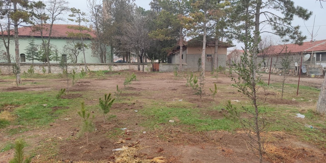 Vatandaşlar 300 fidan dikti