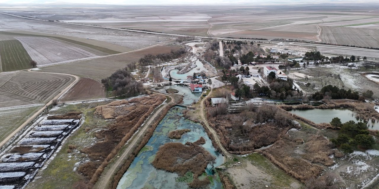 Sakaryabaşı'nın hayata dönmesi için kritik müdahale