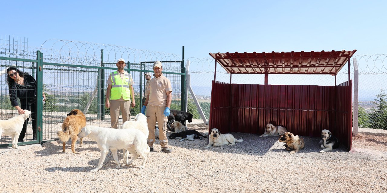 “Eskişehir hayvan dostu ve doğaya saygılı bir kent olarak gelişecek”