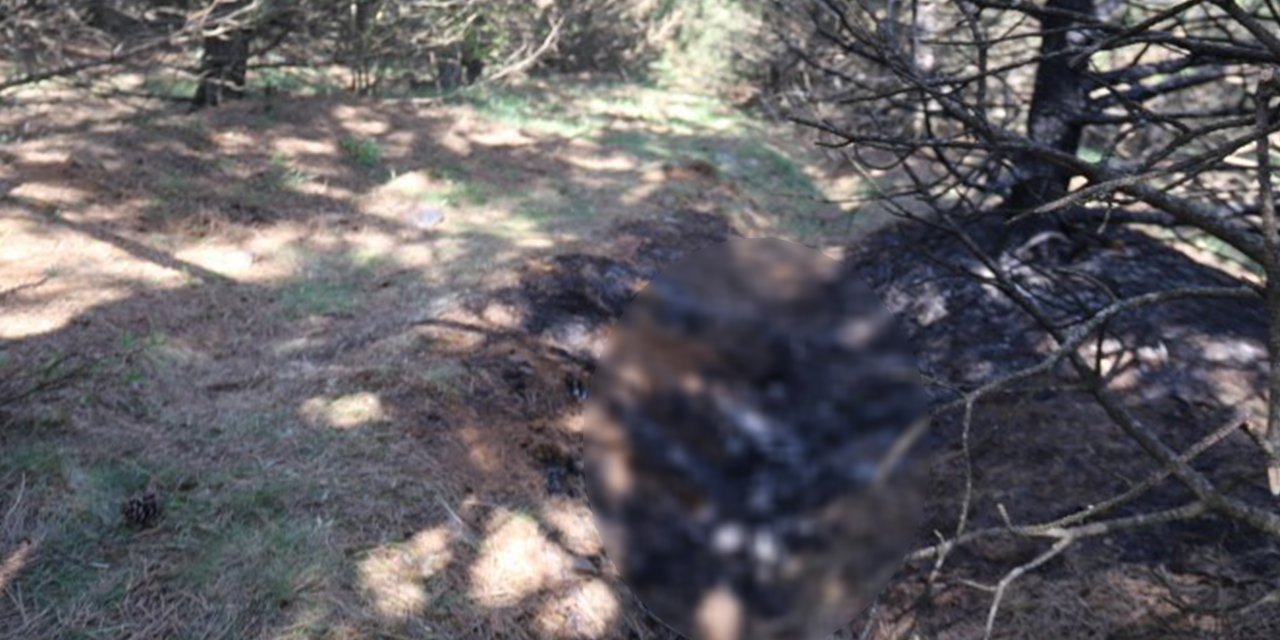 Vahşet anını anlattı: Önce boğmuş sonra 2 gün art arda yakmış