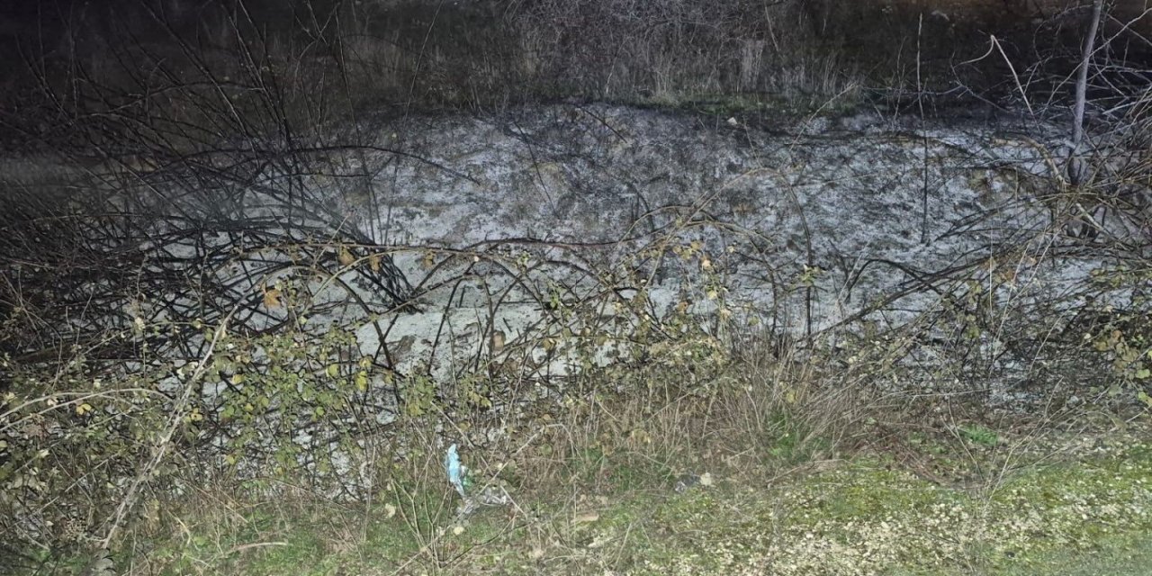 Bilecik'te otluk alanda yangın!