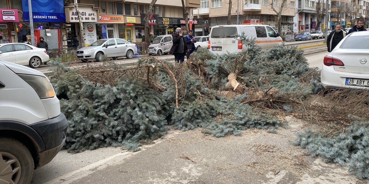 Eskişehir'de fırtına ağaçları devirdi: Ulaşım aksadı!