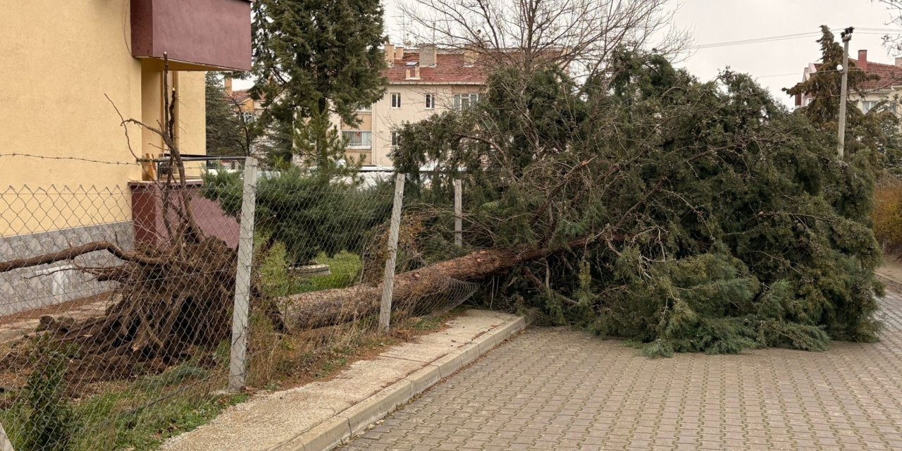 75. Yıl Mahallesi fırtınadan büyük zarar gördü