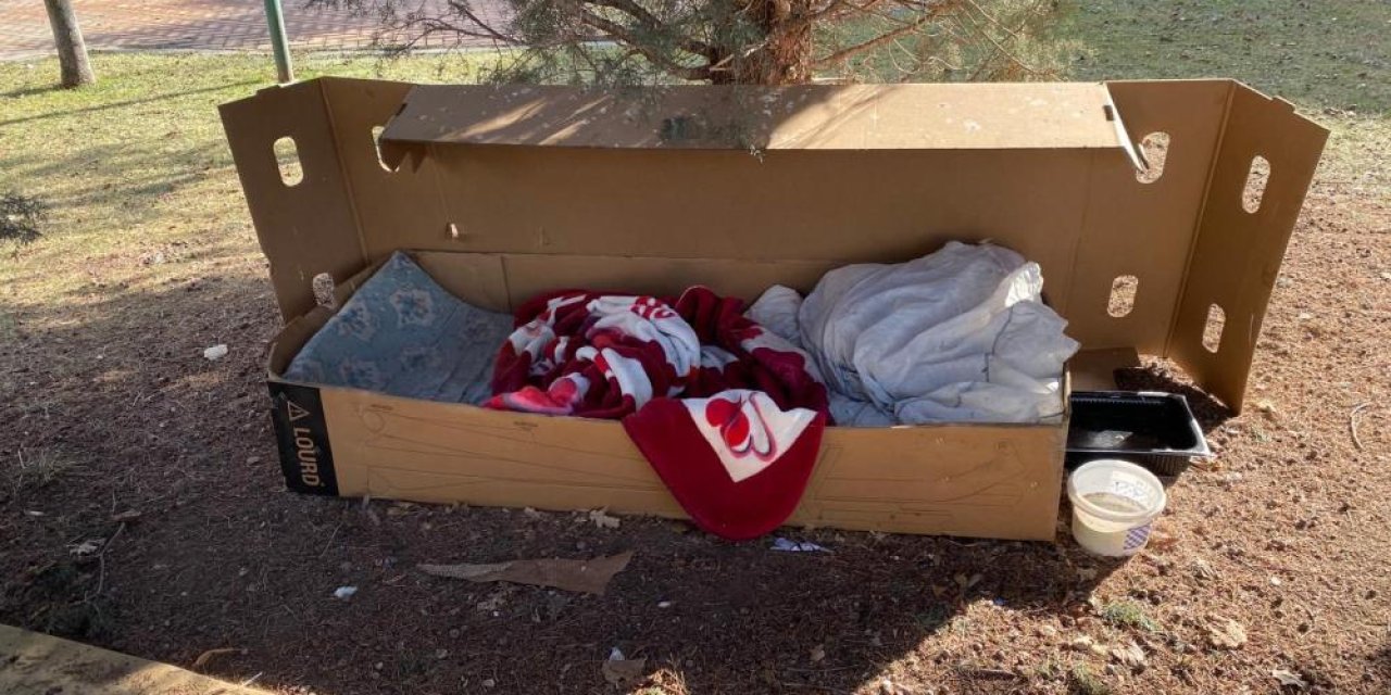 Soğuk kış şartlarında hayvanlar için korunaklı kulübeler yaptılar