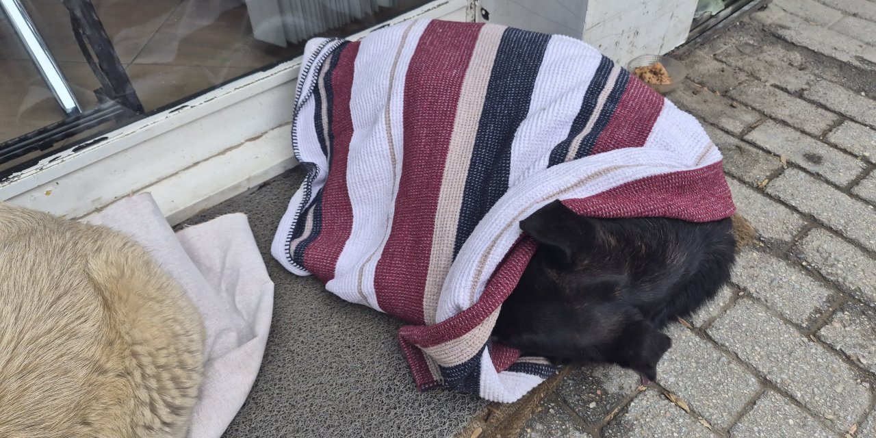 Eskişehir'de duyarlı vatandaştan duygulandıran hareket