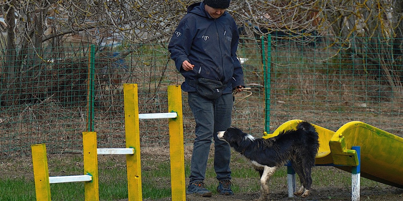 Çobanlara yeni bir yardımcı geliyor