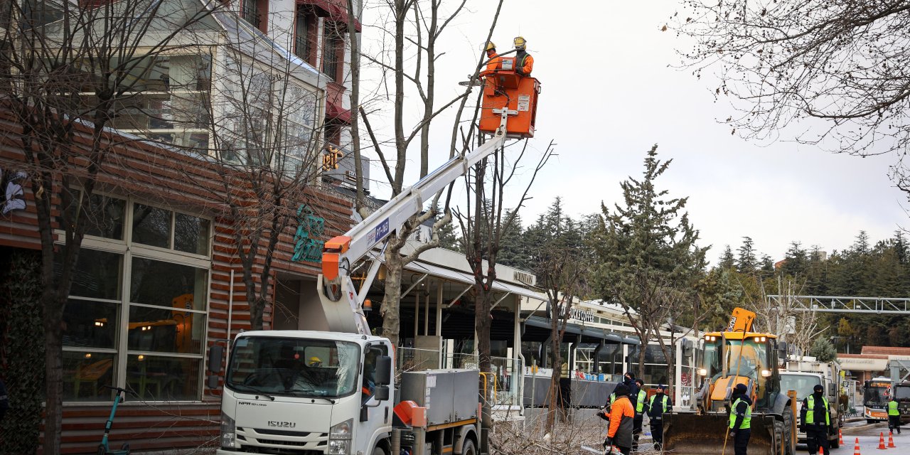 Büyükşehir budama çalışmalarını aralıksız sürdürüyor