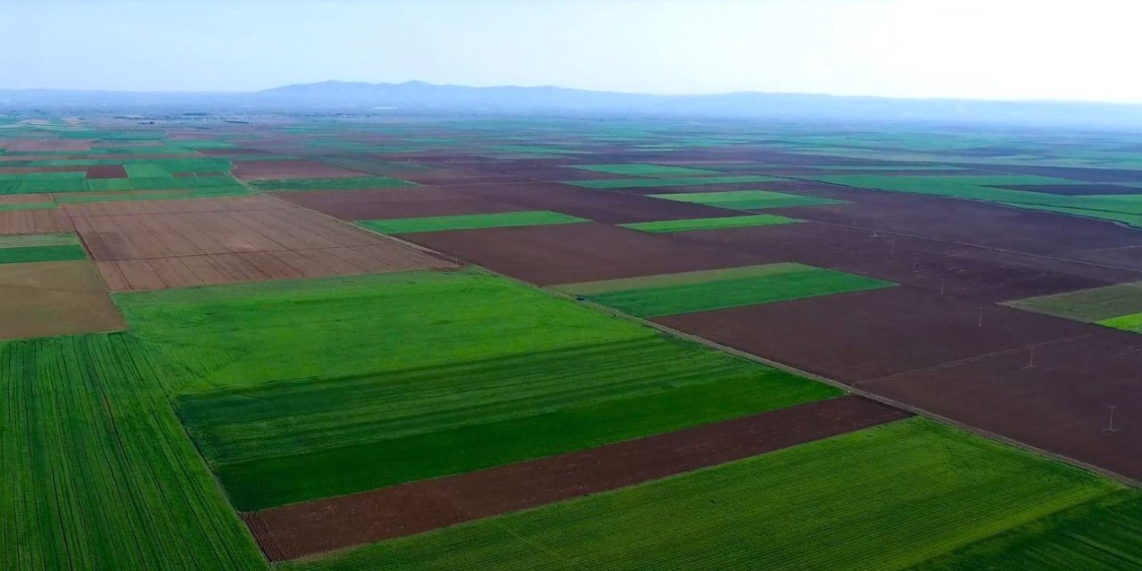 Danıştay'dan Alpu Ovası için tarihi karar!