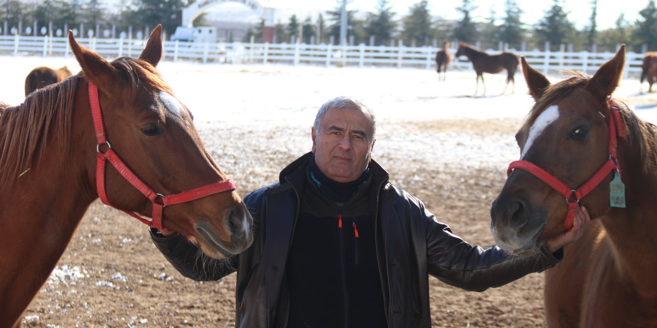 Kayıp düşmesin diye 24 saat atlarına gözü gibi bakıyorlar