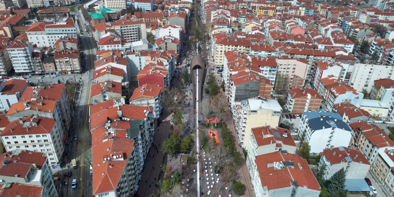 Eskişehir'de ağaç budama çalışması gerçekleştirilecek!